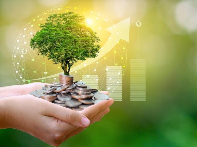 How to start investing. coins and a small tree in a hand