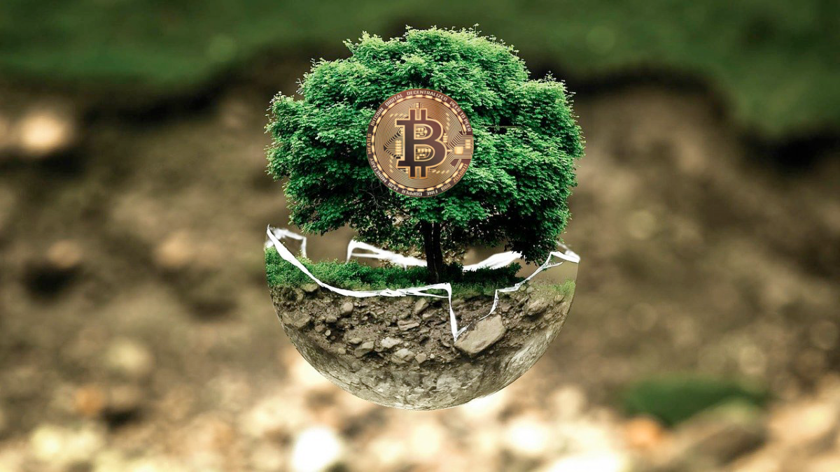 sustainability crypto